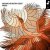 Portada Aurosonic & Brittany Egbert - Phoenix (Original Mix)