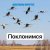 Обложка Анастасия Иркутск - Поклонимся