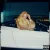 Cover BIA - WE ON GO