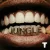 Portada TroyBoi & Shiwa - Jungle