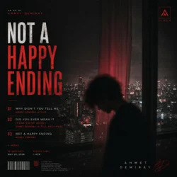 Обложка Ahmet Demiray & ATTILA - Why Didn't You Tell Me