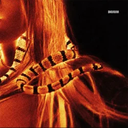 Обложка VERONIKA - Вколола