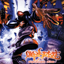 Обложка Limp Bizkit - Dont Go Off Wandering