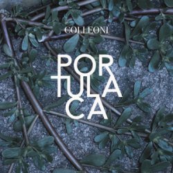Обложка Colleoni - Sinonimi E Contrari