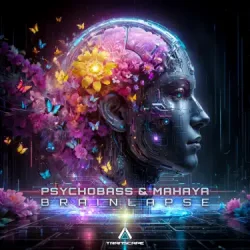 Обложка Psychobass - The Mystery