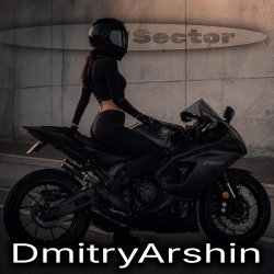 Обложка DmitryArshin - SECTOR