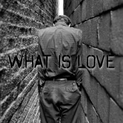 Обложка der Flaum - What is love