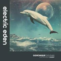 Обложка Gidronique - Dolphin