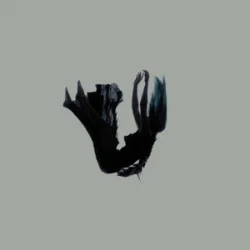 Обложка Rain Paris - Don't Blame The Demons