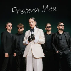 Обложка Tania Turtureanu - Prietenul Meu