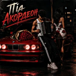 Обложка ZVUCAR & Kamelii Merlina - Під Акордеон