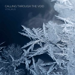 Обложка ViTaLiKuS - Calling Through the Void