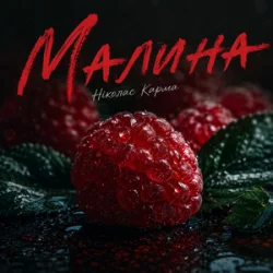 Обложка Ніколас Карма - Малина