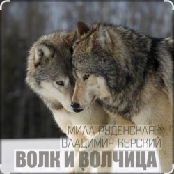 Волк и волчица