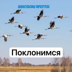 封面 Анастасия Иркутск - Поклонимся