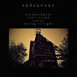 Обложка Endeavour - Sober