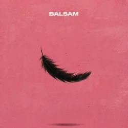 Обложка Balsam - Я, падаю в тебе Мʼяко