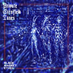 Обложка Private Cornfield Tunes - Fishermen