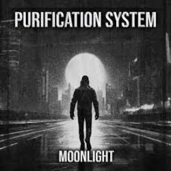 Обложка Purification System - Too Cold (Fahrenheit)
