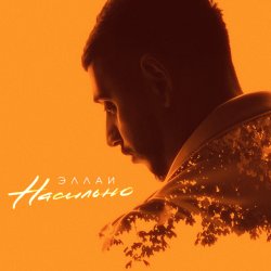 Обложка Эллаи - Насильно