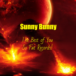 Обложка The Best of You So Fat Records!