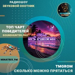 Обложка TMGrom - Сколько можно прятаться (soundhunter.pro)