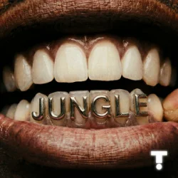 Обложка TroyBoi & Shiwa - Jungle