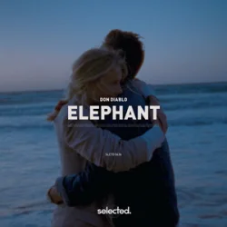 Обложка Don Diablo - Elephant