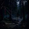 Portada Ведьмина гора - Чёрный лес (extended) Ведьмина гора - Чёрный лес (extended)