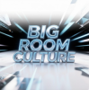 Обложка EvilanDark - Big Room Culture EvilanDark - Big Room Culture