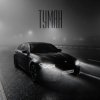 Обложка Дульский - Туман Дульский - Туман