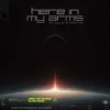 Обложка Armin van Buuren & Silver Panda - Here In My Arms (Enjoy The Silence) Armin van Buuren & Silver Panda - Here In My Arms (Enjoy The Silence)