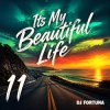 Обложка DJ FORTUNA - Its My Beautiful Life 11 DJ FORTUNA - Its My Beautiful Life 11