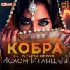 Обложка Ислам Итляшев - Кобра (DJ S7ven Radio Edit) Ислам Итляшев - Кобра (DJ S7ven Radio Edit)