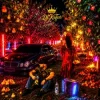 Обложка DJ KAIFAR - В садах DJ KAIFAR - В садах