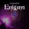 Обложка EnigmaBird - Enigma EnigmaBird - Enigma