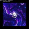Ricky Caceda & ROM - Night Clubbers (Mixed)