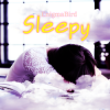 Обкладинка EnigmaBird - Sleepy EnigmaBird - Sleepy