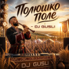 Обложка DJ GUSLI - Полюшко-поле DJ GUSLI - Полюшко-поле