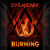 Обложка EvilanDark - Burning