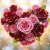 Cover E.N.A - A heart of roses