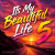 Pochette DJ FORTUNA - Its My Beautiful Life 5