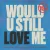 Cover Diplo & Cameron Whitcomb - Would U Still Love Me (Lost Frequencies Remix)
