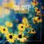 封面 Paul Harris, Dragonette - One Night Lover (Nora En Pure Instrumental Club Mix)