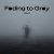 Portada Alex K - Fading to Gray