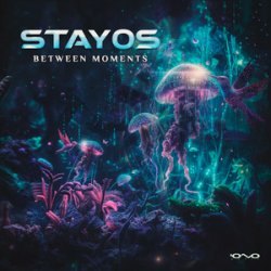 Обложка Stayos - Tov Li (Original Mix)