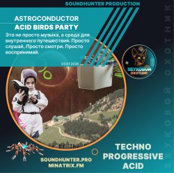 Обложка Astroconductor - Acid Birds Party