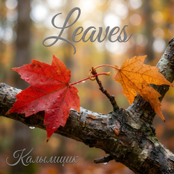 Обложка Калымщик - Leaves