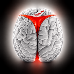 Обложка Brains 5 [2019]