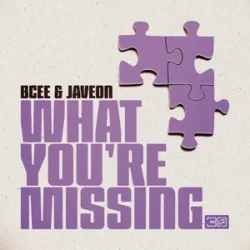 Обложка BCee & Javeon - What You're Missing